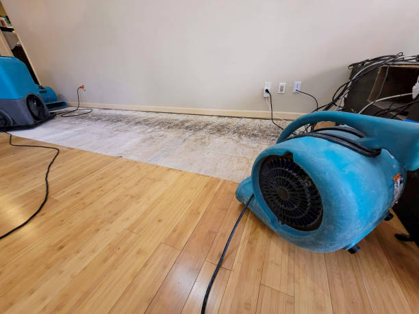 Professional Water Removal technician working in Batavia, OH